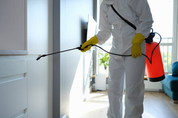 Best Commercial Mold Removal  in Manning, IA