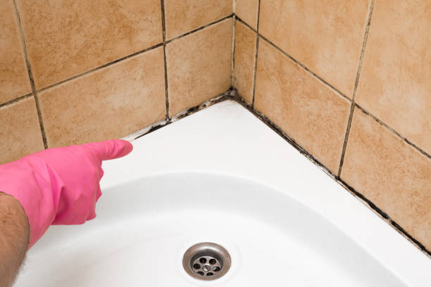 Best Mold Testing  in Manning, IA